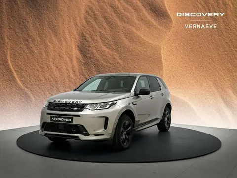 Used LAND ROVER DISCOVERY Hybrid 2023 Ad Belgium
