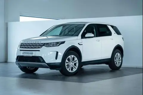 Annonce LAND ROVER DISCOVERY  2021 d'occasion 