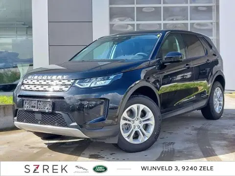 Used LAND ROVER DISCOVERY Diesel 2024 Ad Belgium