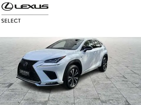 Used LEXUS NX Hybrid 2021 Ad 