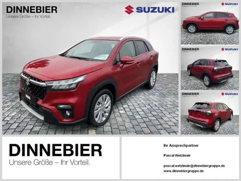 Used SUZUKI S-CROSS Hybrid 2024 Ad Germany