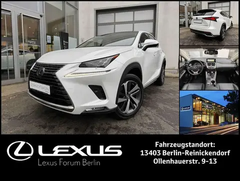 Used LEXUS NX Hybrid 2019 Ad Germany