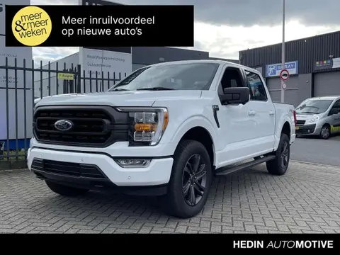 Annonce FORD F150 GPL 2024 d'occasion 