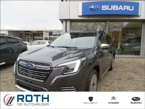 Used SUBARU FORESTER Hybrid 2024 Ad 