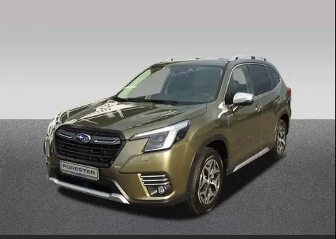 Annonce SUBARU FORESTER Essence 2024 d'occasion Allemagne