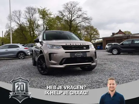 Used LAND ROVER DISCOVERY Diesel 2022 Ad Belgium