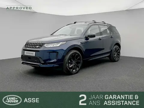 Used LAND ROVER DISCOVERY Hybrid 2022 Ad Belgium