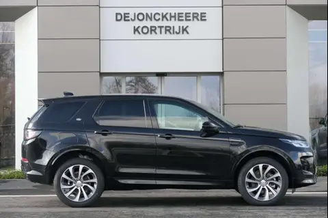 Used LAND ROVER DISCOVERY Petrol 2024 Ad Belgium