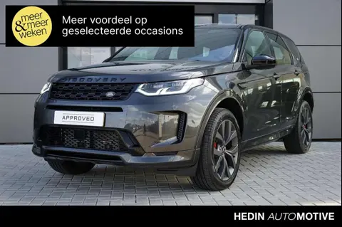 Annonce LAND ROVER DISCOVERY Hybride 2024 d'occasion 