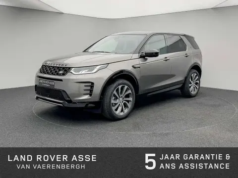 Used LAND ROVER DISCOVERY Hybrid 2024 Ad Belgium