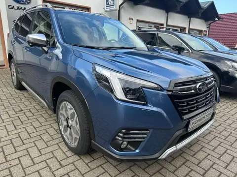 Annonce SUBARU FORESTER Essence 2024 d'occasion 