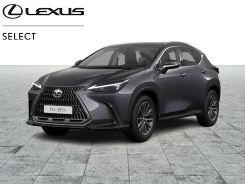 Annonce LEXUS NX Hybride 2024 d'occasion Belgique