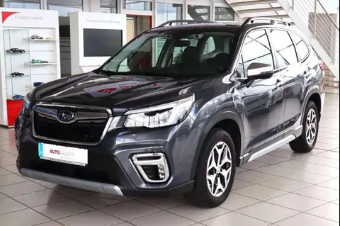 Annonce SUBARU FORESTER Essence 2022 d'occasion Allemagne