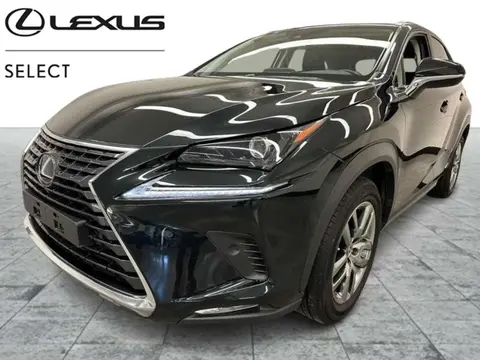 Annonce LEXUS NX Hybride 2020 d'occasion Belgique