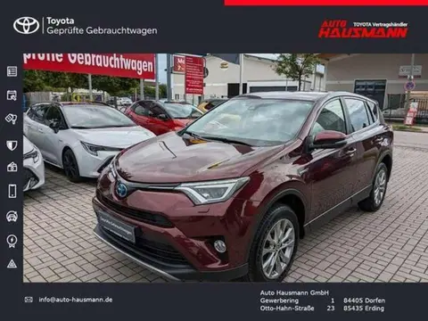 Used TOYOTA RAV4 Hybrid 2017 Ad Germany