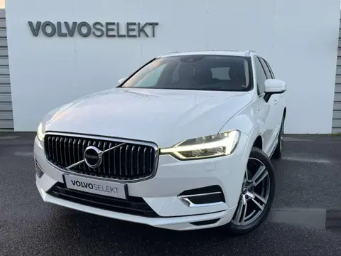 Annonce VOLVO XC60  2018 d'occasion 