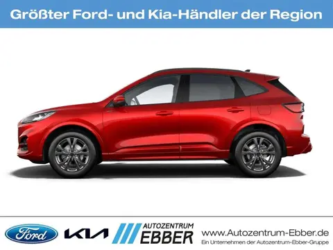 Used FORD KUGA Petrol 2024 Ad Germany