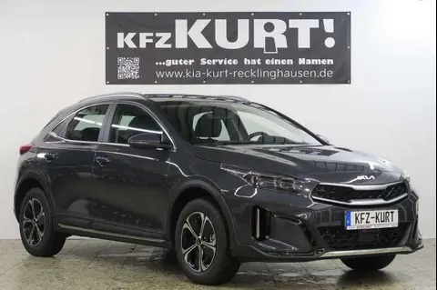 Annonce KIA XCEED Hybride 2024 d'occasion Allemagne
