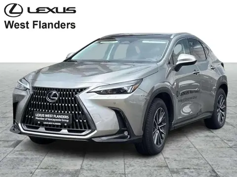 Used LEXUS NX Hybrid 2024 Ad Belgium