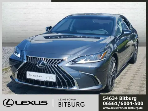 Used LEXUS ES Hybrid 2023 Ad Germany