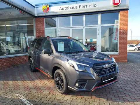 Annonce SUBARU FORESTER Hybride 2023 d'occasion 