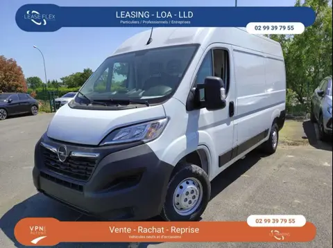 Used OPEL MOVANO Diesel 2022 Ad 