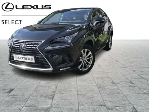 Used LEXUS NX Hybrid 2018 Ad Belgium