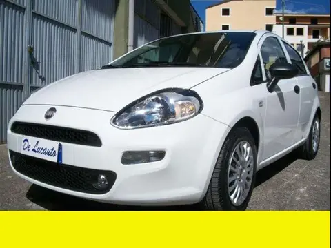Used FIAT PUNTO Diesel 2018 Ad Italy