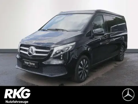 Annonce MERCEDES-BENZ MARCO POLO Diesel 2021 d'occasion Allemagne