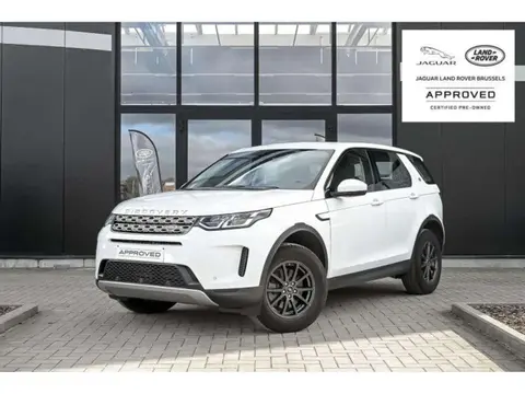 Used LAND ROVER DISCOVERY Petrol 2020 Ad Belgium