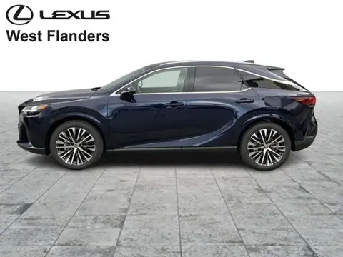 Used LEXUS RX Hybrid 2024 Ad Belgium