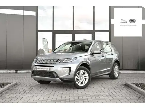 Used LAND ROVER DISCOVERY Petrol 2021 Ad Belgium