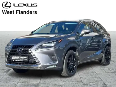 Used LEXUS NX Hybrid 2018 Ad Belgium