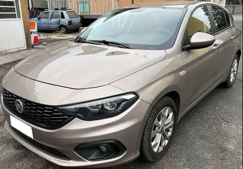 Used FIAT TIPO LPG 2018 Ad 