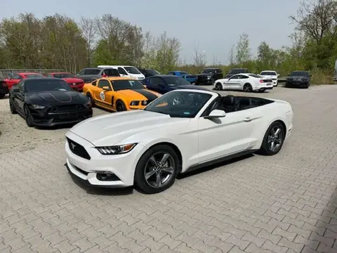 Annonce FORD MUSTANG Essence 2017 d'occasion Allemagne