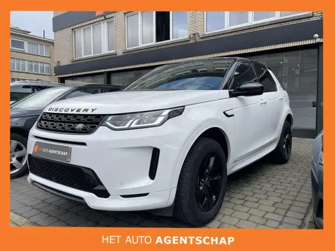 Used LAND ROVER DISCOVERY Diesel 2020 Ad 