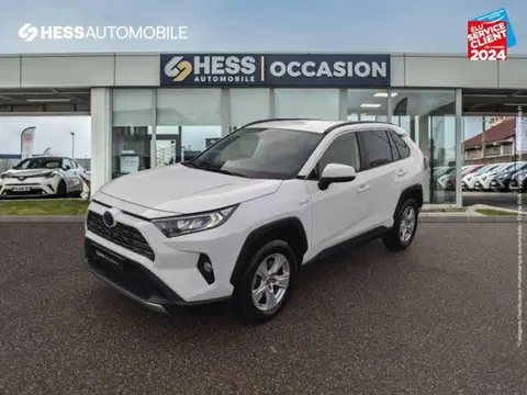 Annonce TOYOTA RAV4  2021 d'occasion 