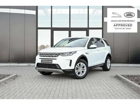 Annonce LAND ROVER DISCOVERY Diesel 2019 d'occasion Belgique