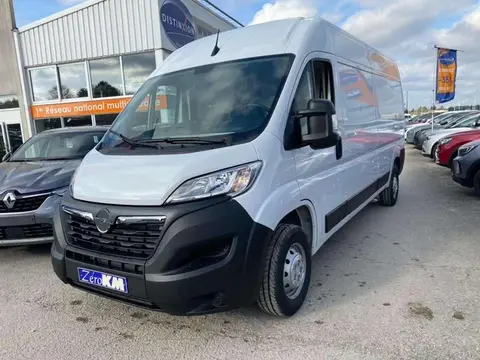 Used OPEL MOVANO Diesel 2023 Ad 