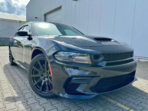Used DODGE CHARGER Petrol 2019 Ad Germany