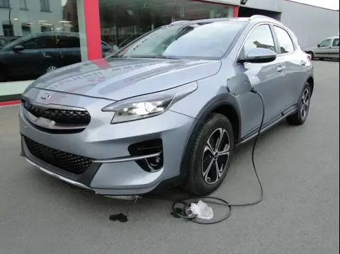 Annonce KIA XCEED Hybride 2020 d'occasion 