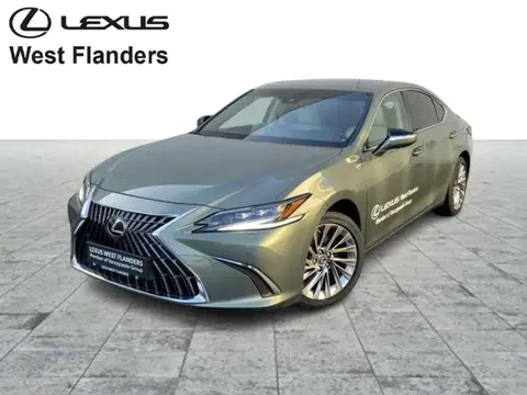 Used LEXUS ES Hybrid 2024 Ad Belgium