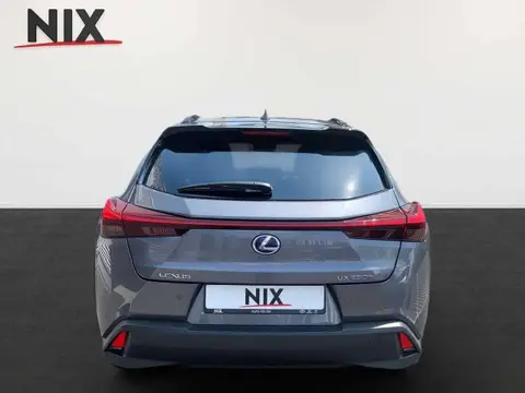 Annonce LEXUS UX Hybride 2022 d'occasion 