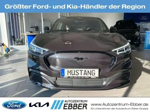 Used FORD MUSTANG Electric 2024 Ad 