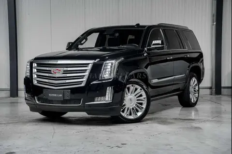 Annonce CADILLAC ESCALADE Essence 2015 d'occasion 