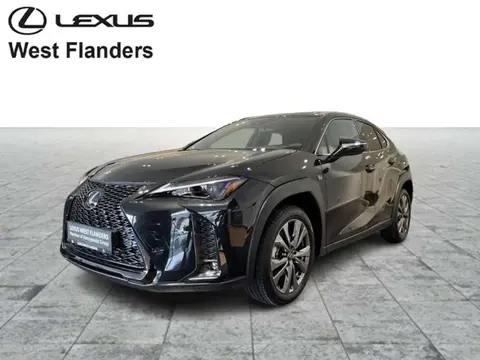 Used LEXUS UX Hybrid 2024 Ad 