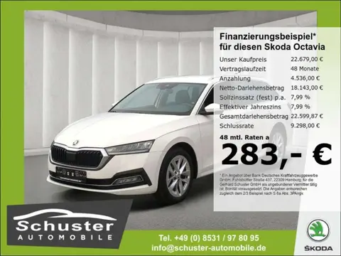 Annonce SKODA OCTAVIA Diesel 2021 d'occasion 