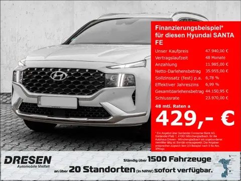 Used HYUNDAI SANTA FE Hybrid 2023 Ad Germany