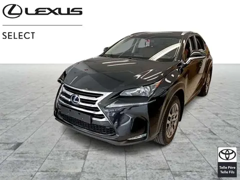 Used LEXUS NX Hybrid 2016 Ad Belgium