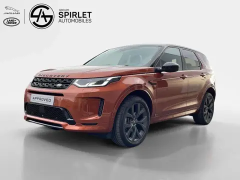 Used LAND ROVER DISCOVERY Hybrid 2021 Ad Belgium